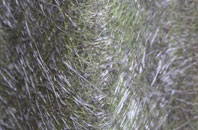 Pitts Hill fibreglass roof work